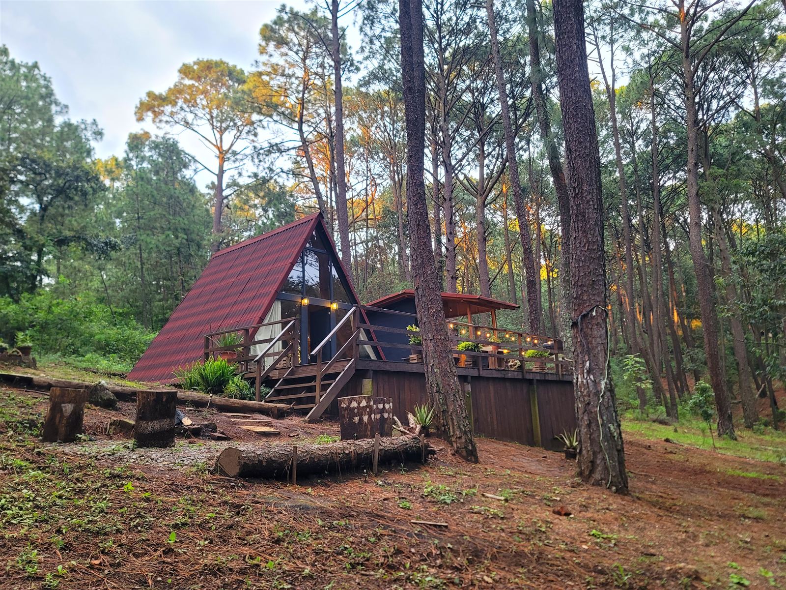 Cabañita Alpina