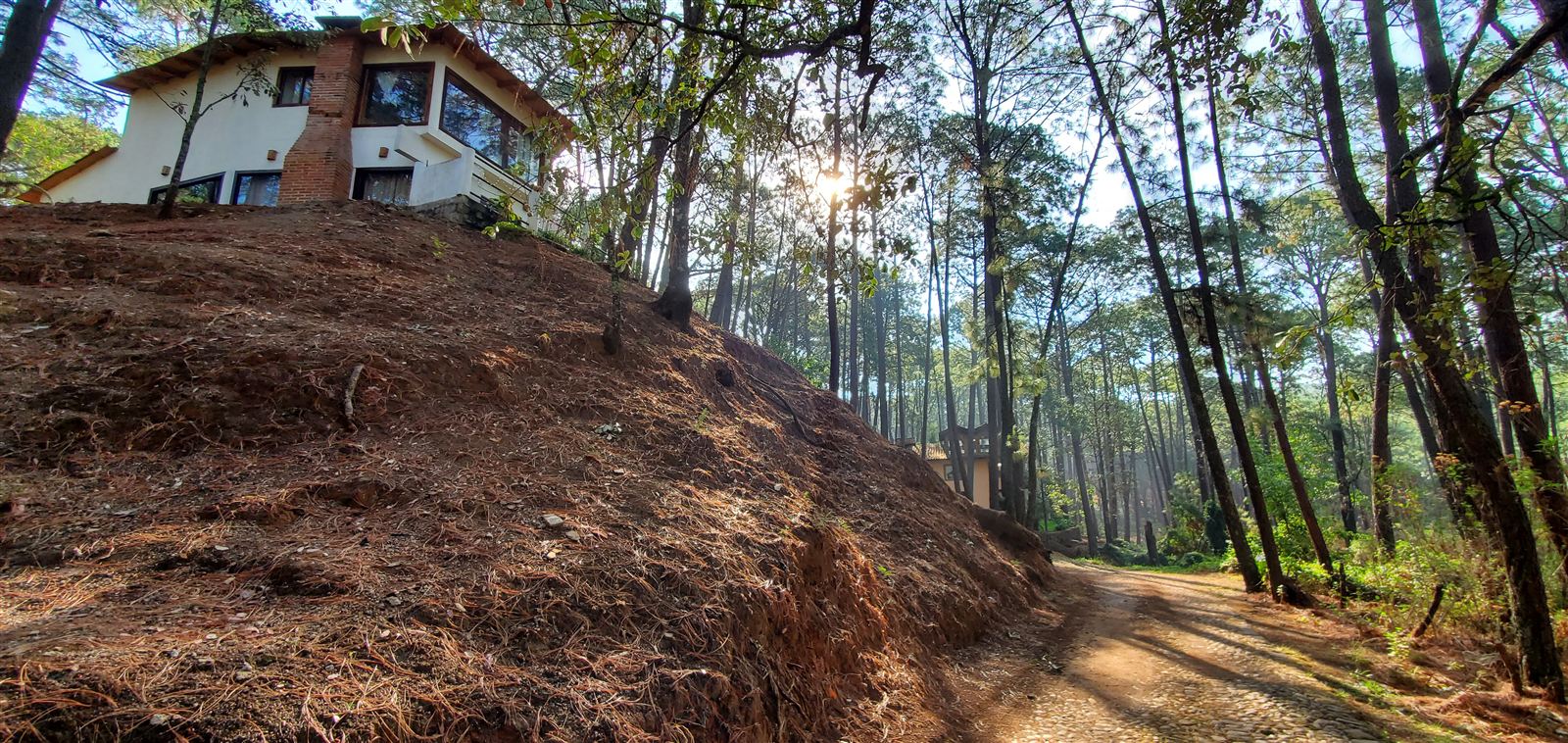 Cabaña en el Bosque Blanca